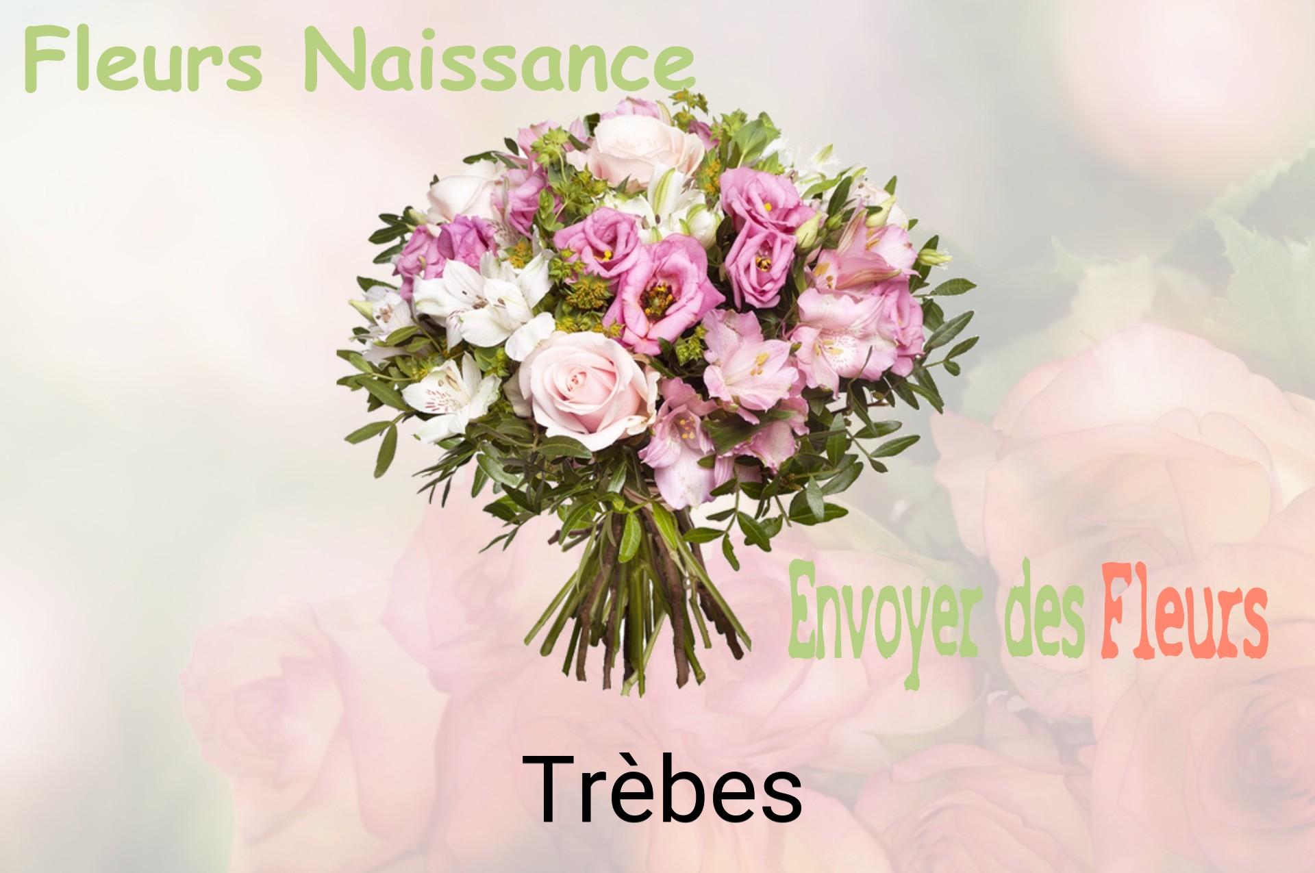Bouquet de fleurs de naissance livré à Trèbes
