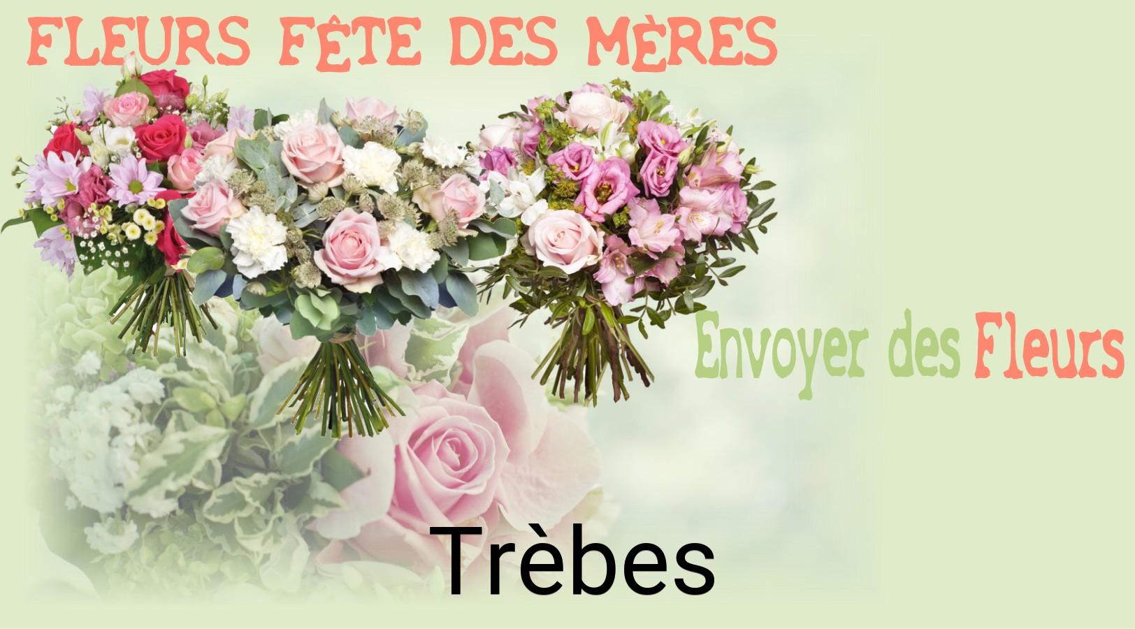 Bouquet de Fête des Mères livré à Trèbes